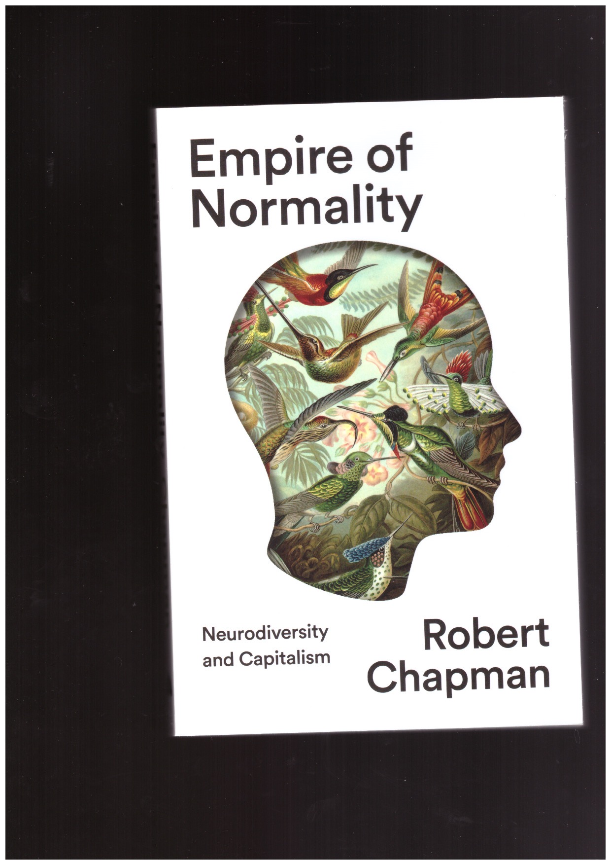 CHAPMAN, Robert - Empire of Normality